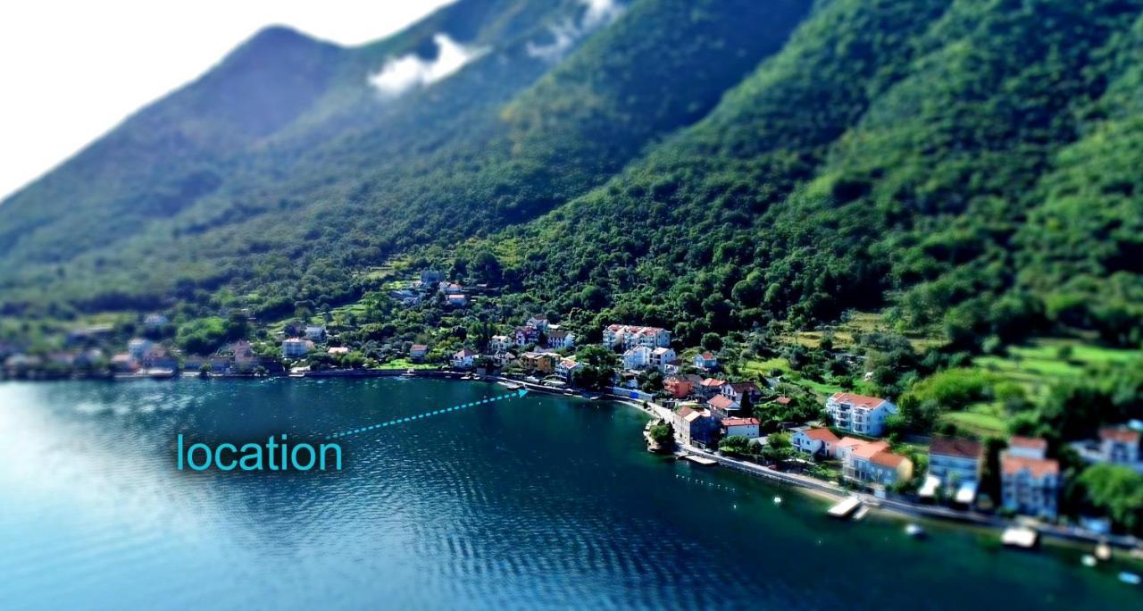 Apartment Miramare Kotor Dış mekan fotoğraf
